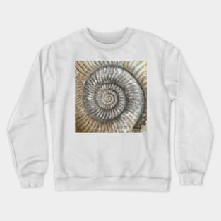 Ammonite Crewneck Sweatshirt